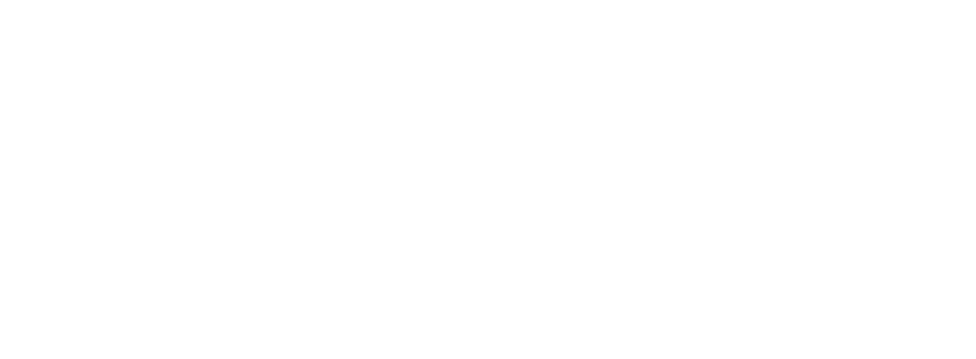 text fiesta coleccion 2026